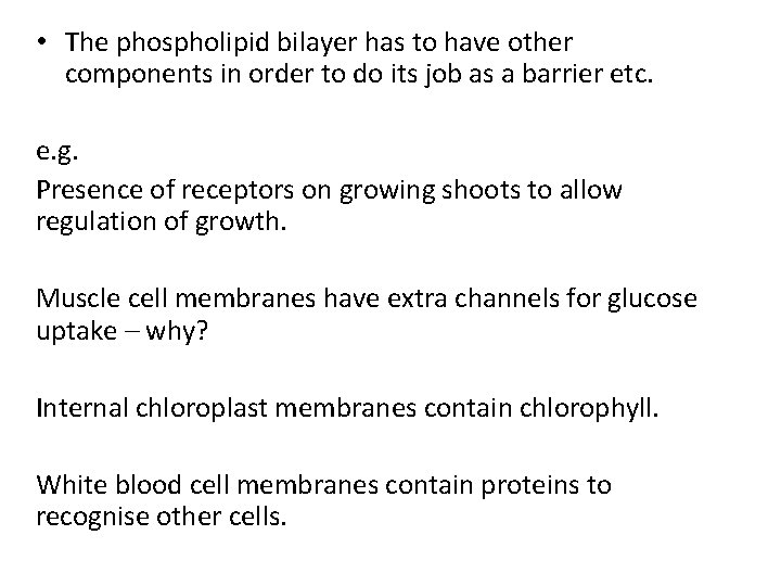  • The phospholipid bilayer has to have other components in order to do