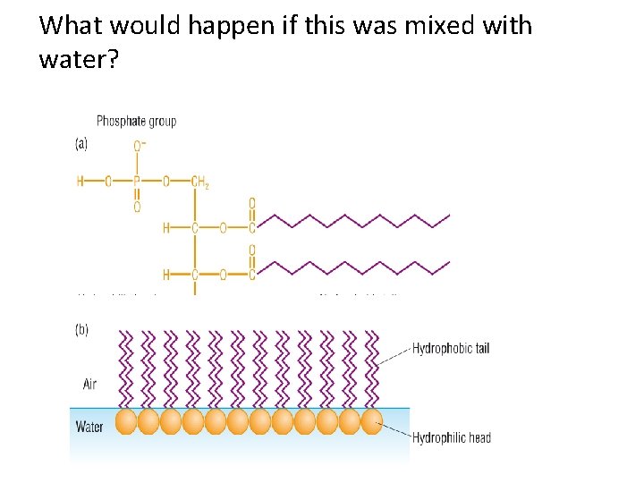 What would happen if this was mixed with water? 