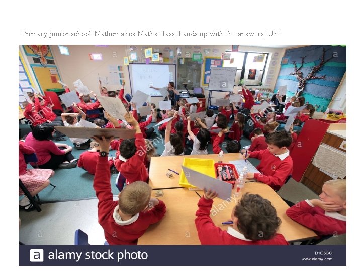 Primary junior school Mathematics Maths class, hands up with the answers, UK. 