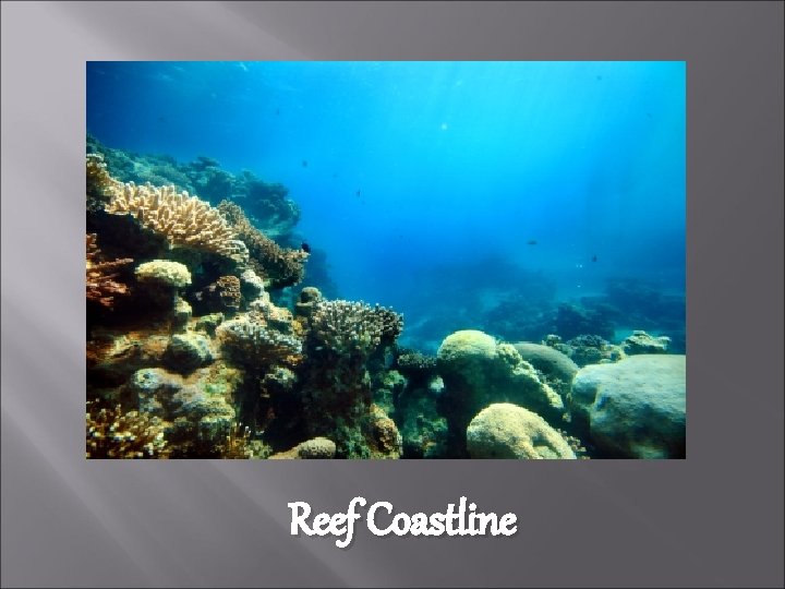 Reef Coastline 