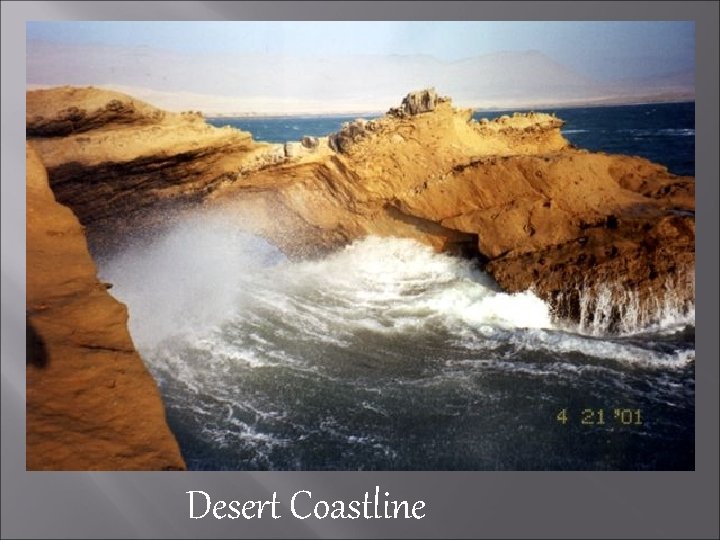 Desert Coastline 