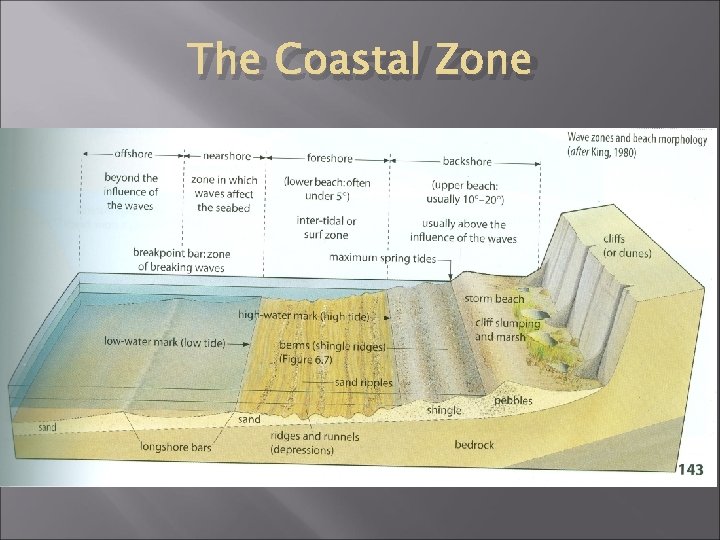 The Coastal Zone 