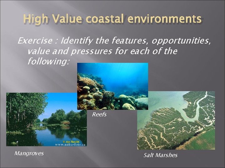 High Value coastal environments Exercise : Identify the features, opportunities, value and pressures for