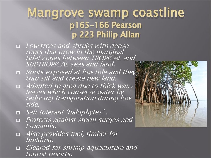Mangrove swamp coastline p 165 -166 Pearson p 223 Philip Allan Low trees and