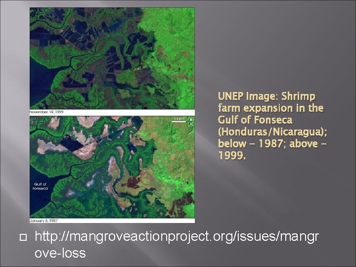 UNEP Image: Shrimp farm expansion in the Gulf of Fonseca (Honduras/Nicaragua); below - 1987;