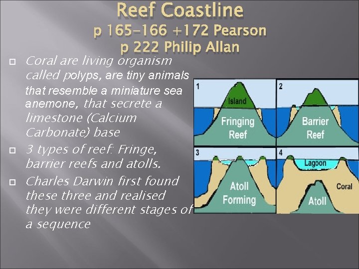 Reef Coastline p 165 -166 +172 Pearson p 222 Philip Allan Coral are living