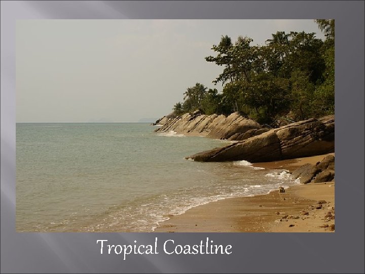 Tropical Coastline 