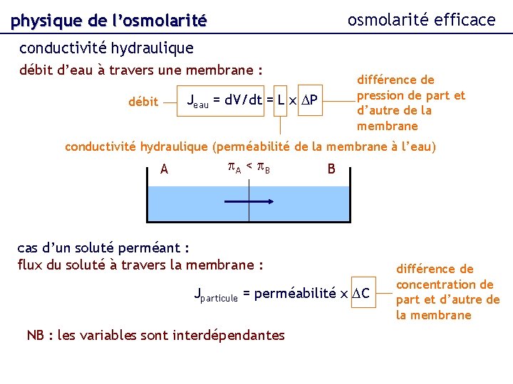 osmolarité efficace physique de l’osmolarité conductivité hydraulique débit d’eau à travers une membrane :