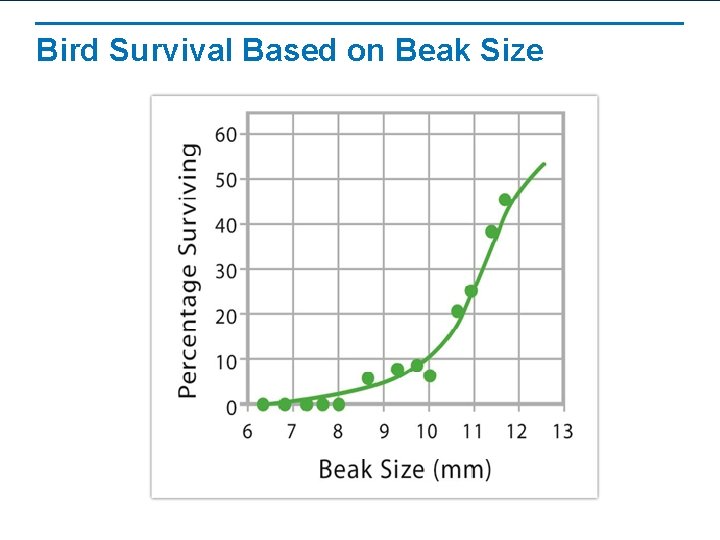 Bird Survival Based on Beak Size 
