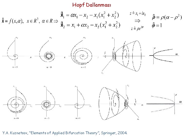 Hopf Dallanması Y. A. Kuznetsov, “Elements of Applied Bifurcation Theory”, Springer, 2004. 