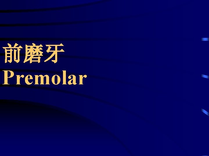 前磨牙 Premolar 前磨牙 Premolar