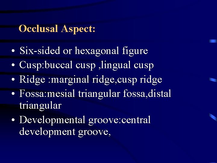 Occlusal Aspect: • • Six-sided or hexagonal figure Cusp: buccal cusp , lingual cusp