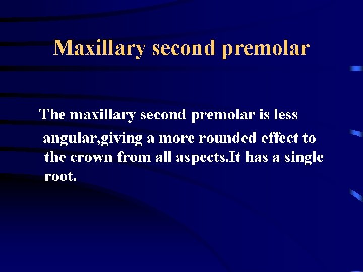 Maxillary second premolar The maxillary second premolar is less angular, giving a more rounded