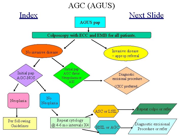 AGC (AGUS) Index Next Slide AGUS pap Colposcopy with ECC and EMB for all
