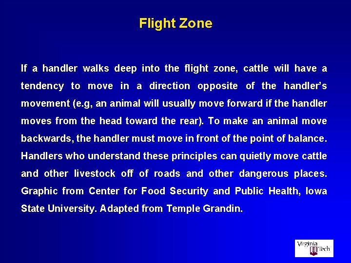 Flight Zone If a handler walks deep into the flight zone, cattle will have