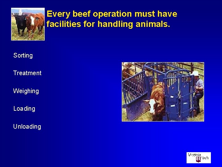 Every beef operation must have facilities for handling animals. Sorting Treatment Weighing Loading Unloading