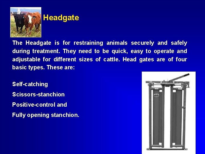 Headgate The Headgate is for restraining animals securely and safely during treatment. They need
