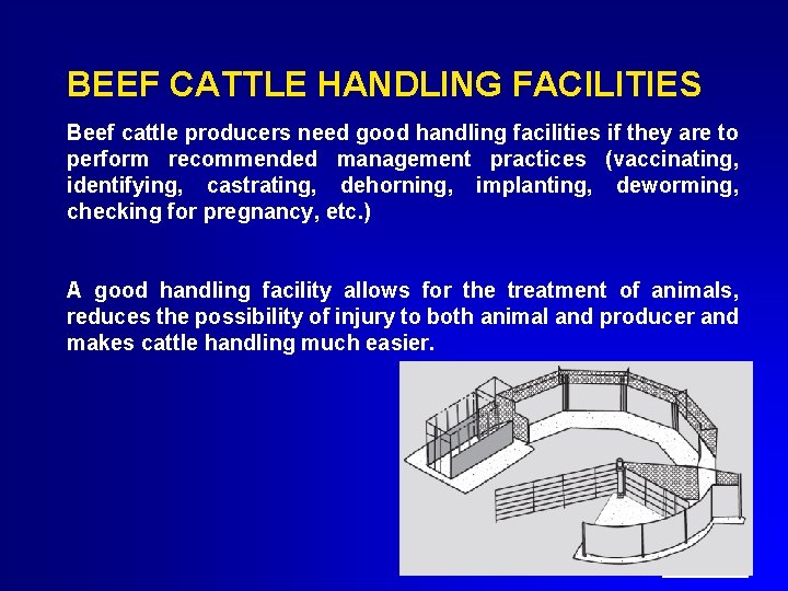BEEF CATTLE HANDLING FACILITIES Beef cattle producers need good handling facilities if they are