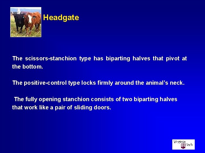 Headgate The scissors-stanchion type has biparting halves that pivot at the bottom. The positive-control