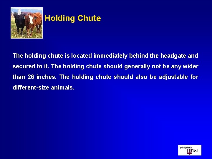 Holding Chute The holding chute is located immediately behind the headgate and secured to