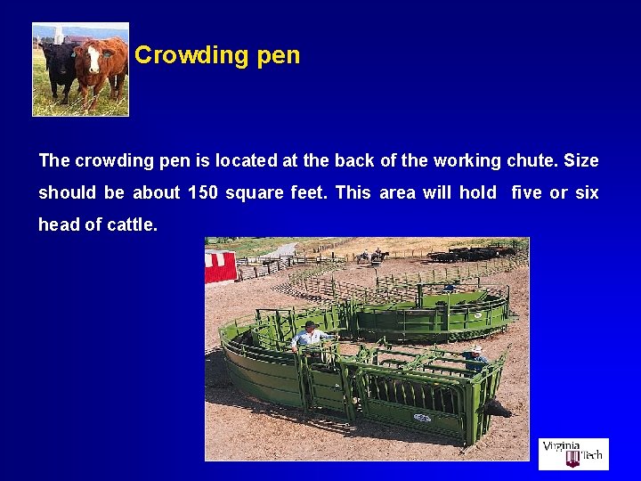 Crowding pen The crowding pen is located at the back of the working chute.