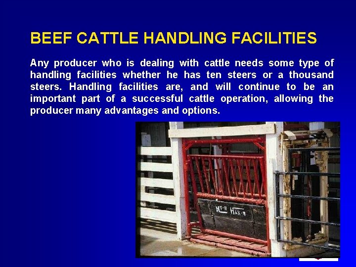 BEEF CATTLE HANDLING FACILITIES Any producer who is dealing with cattle needs some type