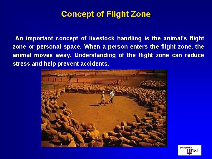 Concept of Flight Zone An important concept of livestock handling is the animal’s flight