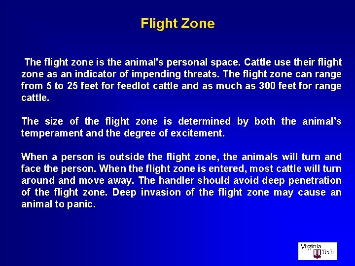 Flight Zone The flight zone is the animal's personal space. Cattle use their flight