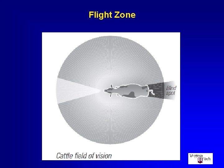 Flight Zone 