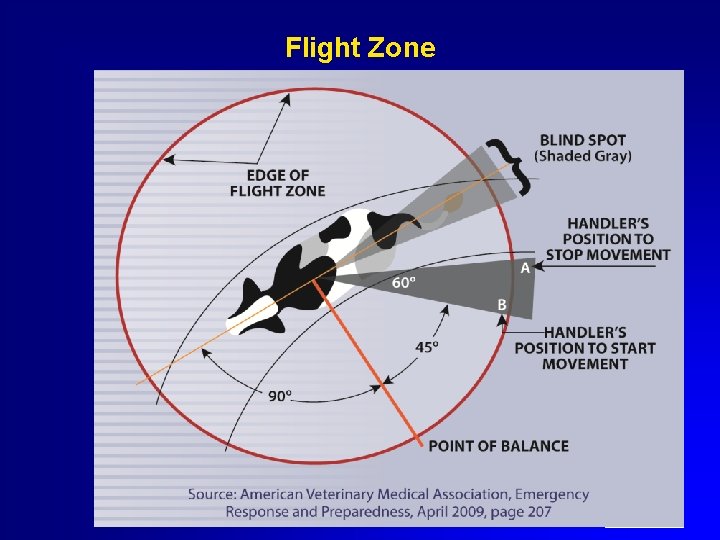 Flight Zone 