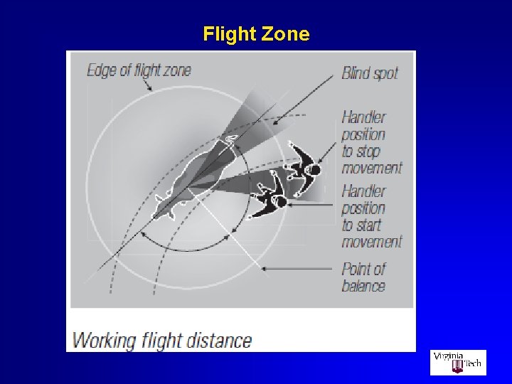 Flight Zone 