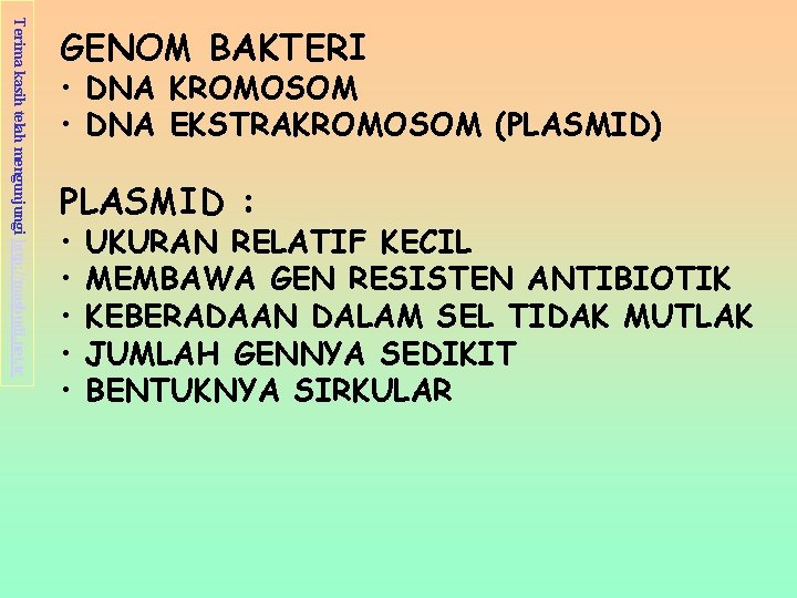 Terima kasih telah mengunjungi http: //masbudi. net. tc GENOM BAKTERI • DNA KROMOSOM •