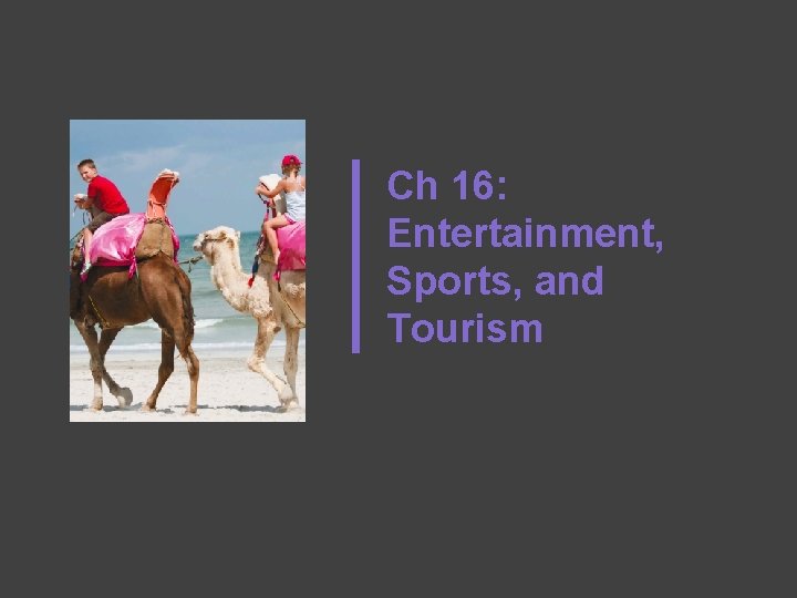 Ch 16: Entertainment, Sports, and Tourism 