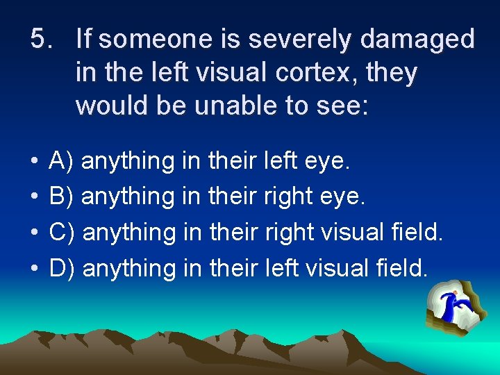 5. If someone is severely damaged in the left visual cortex, they would be