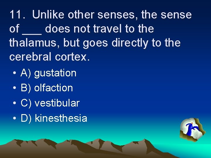 11. Unlike other senses, the sense of ___ does not travel to the thalamus,