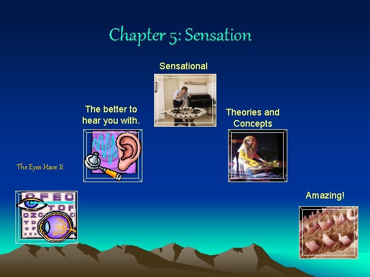 Chapter 5: Sensational The better to hear you with. Theories and Concepts The Eyes