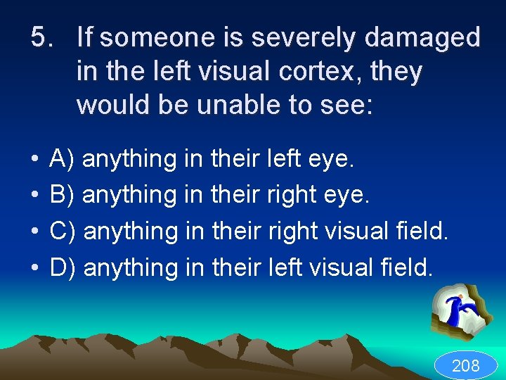 5. If someone is severely damaged in the left visual cortex, they would be