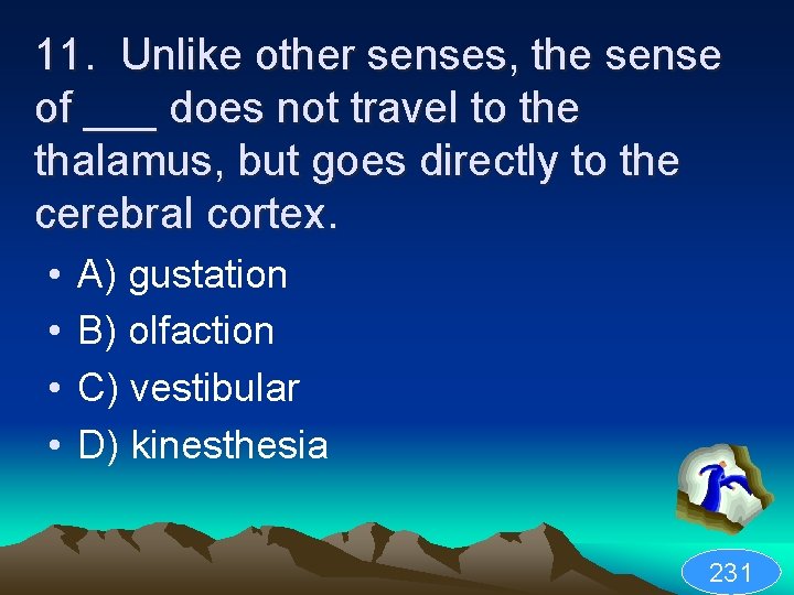 11. Unlike other senses, the sense of ___ does not travel to the thalamus,