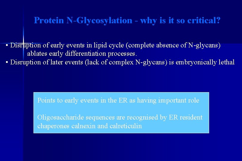 Protein N-Glycosylation - why is it so critical? • Disruption of early events in