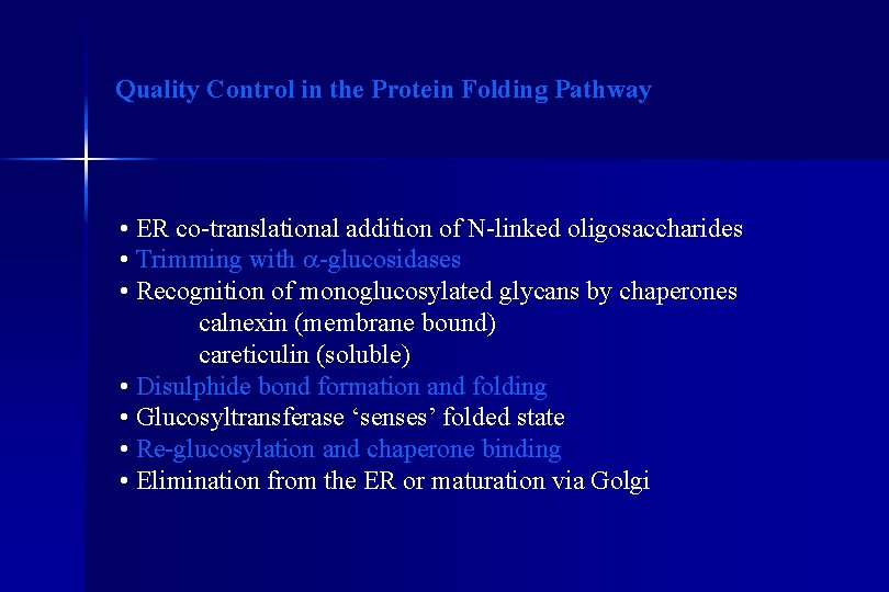 Quality Control in the Protein Folding Pathway • ER co-translational addition of N-linked oligosaccharides