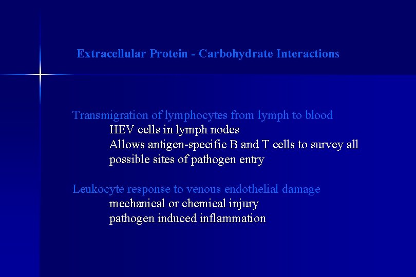 Extracellular Protein - Carbohydrate Interactions Transmigration of lymphocytes from lymph to blood HEV cells