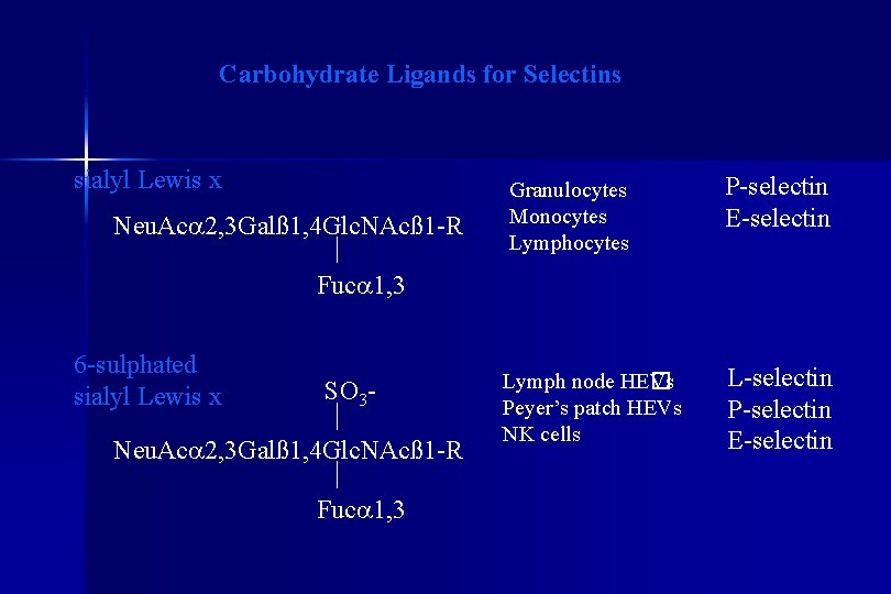 Carbohydrate Ligands for Selectins sialyl Lewis x Neu. Aca 2, 3 Galß 1, 4
