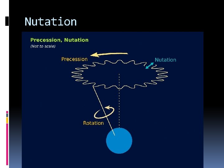 Nutation 