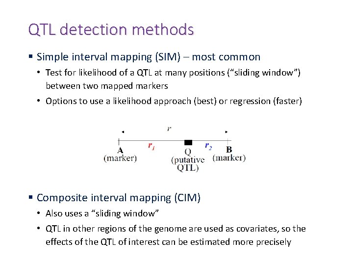 QTL detection methods § Simple interval mapping (SIM) – most common • Test for