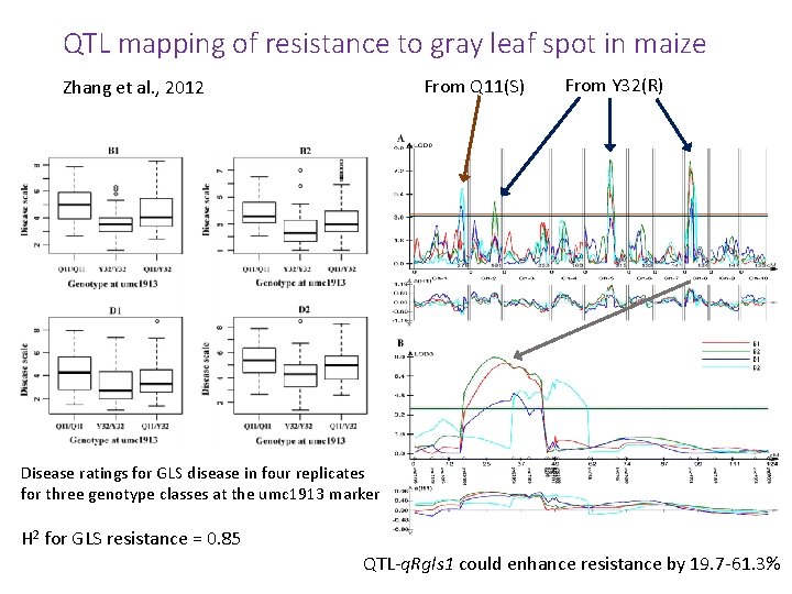 QTL mapping of resistance to gray leaf spot in maize From Q 11(S) Zhang