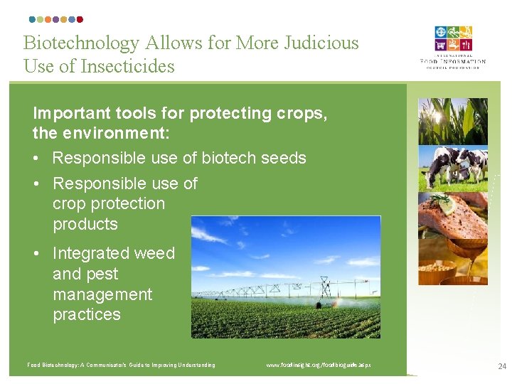 Biotechnology Allows for More Judicious Use of Insecticides Important tools for protecting crops, the