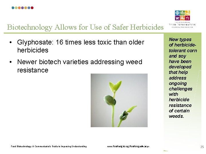 Biotechnology Allows for Use of Safer Herbicides • Glyphosate: 16 times less toxic than