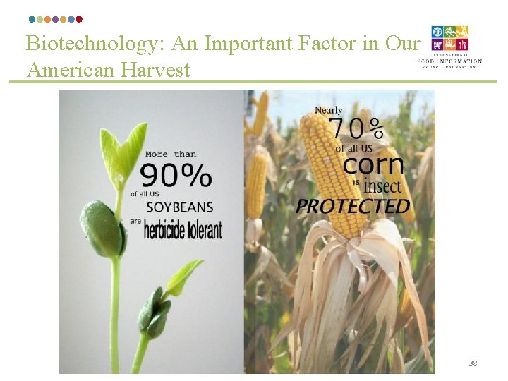 Biotechnology: An Important Factor in Our American Harvest 38 
