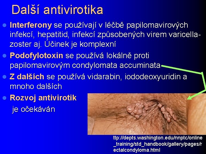 Další antivirotika Interferony se používají v léčbě papilomavirových infekcí, hepatitid, infekcí způsobených virem varicellazoster