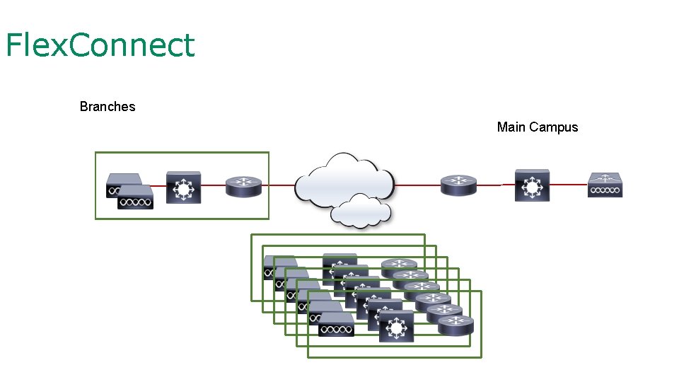 Flex. Connect Branches Main Campus 